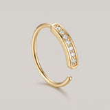 Gouden nep piercings